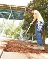  ?? STAFF PHOTO BY MATT HAMILTON ?? James Stockdale rakes mulch Friday in Coolidge Park. Park workers trimmed trees and bushes in preparatio­n for the upcoming Moon River musical festival.