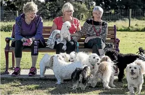  ?? IAIN MCGREGOR/STUFF ?? The ‘‘Lap Ladies’’ have taken the lack of clarity around the Millton Memorial Reserve Dog Park into their own hands, to the ire of some.