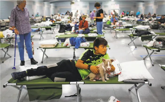  ?? Gabrielle Lurie / The Chronicle ?? Evacuee Junior
Gomez, 11, rests with his 2-month-old puppy, Smoky, at a Red Cross shelter after evacuating his home with his parents following the Tubbs Fire in Santa Rosa.