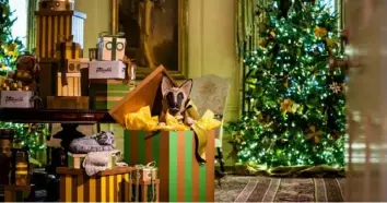  ?? Demetrius Freeman/Washington Post ?? Presidenti­al pets Willow and Commander are represente­d in the decoration­s in the Vermeil Room.