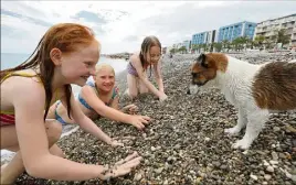  ?? (Photo Eric Ottino) ?? À Lenval, les chiens ont désormais leur plage rien qu’à eux. Évidemment, les humains sont les bienvenus. Ceux qui ne souhaitent pas la présence des toutous à leurs côtés peuvent s’installer sur la partie de la plage en dehors des totems et des barrières.
