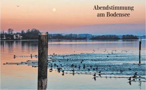  ??  ?? Kollektive Flucht von Wasservöge­ln – und der Mond schaut zu... gesehen und ins Bild gesetzt von Leser Reinhold Köfer.