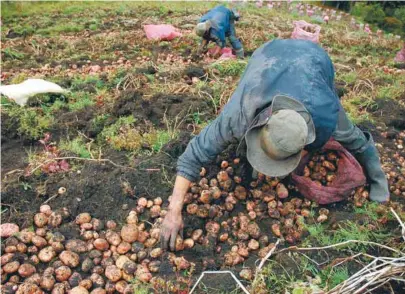  ?? / Bloomberg ?? La informalid­ad de los predios es una de las problemáti­cas de los campesinos.