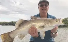  ??  ?? AT LAST: Barramundi are back taking live baits in the Cairns Inlet. This fish was caught with Gone Fishing Charters this week.