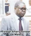  ??  ?? Foreign Affairs minister Joe Malanji