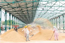  ??  ?? RIGHT
Labourers winnow rice at a grain market in Amritsar in Punjab state.