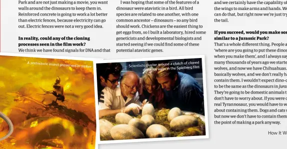  ??  ?? a clutch of cloned Scientists cluster around film dinosaur eggs in the Spielberg