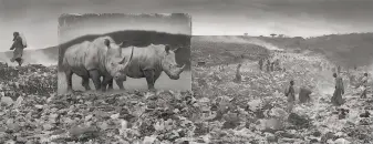 ??  ?? Nick Brandt’s “Wasteland With Rhinos” is another 2015 piece shot in Kenya.