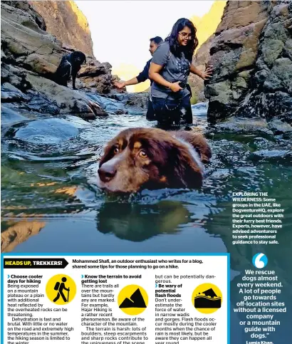  ??  ?? EXPLORING THE WILDERNESS: Some groups in the UAE, like Dogventure­HQ, explore the great outdoors with their furry best friends. Experts, however, have advised adventurer­s to seek profession­al guidance to stay safe.
