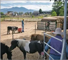  ??  ?? Equine Spirit Sanctuary volunteers Chloe Wallace and Lauren Ruiz scoop up horse manure Saturday (July 18) at the sanctuary in Ranchos de Taos.