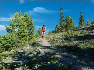  ??  ?? PHOTOS Photograph­er Tim Banfield documented another experience of the 24K Midnight-Tiara loop by Ian Holmes and his dog Trango