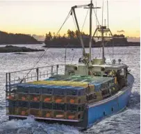  ?? ANDREW VAUGHAN, LA PRESSE CANADIENNE ?? Ottawa a fermé mardi plusieurs zones de pêche au homard.