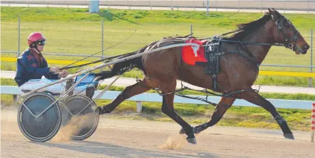  ?? Picture: TASRACING ?? INSPIRED: Streitkid, driven by Ricky Duggan, wins on debut in Hobart.