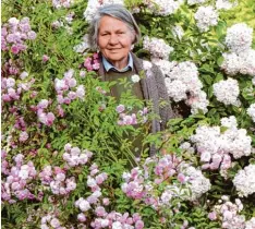  ?? Foto: Freundeskr­eis ?? Fachfrau Eilike Vemmer referiert in Haunstette­n über Rosen.