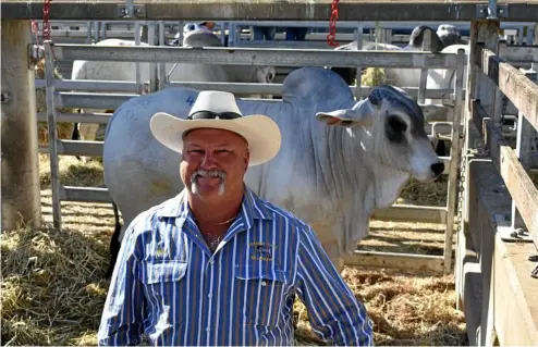  ?? PHOTO: GEORDI OFFORD ?? STAR BULLS: Michael Peters of Bremer Vale Brahmans had a bull star alongside actor Daniel Radcliffe, with another set to feature in an upcoming Holden television ad.