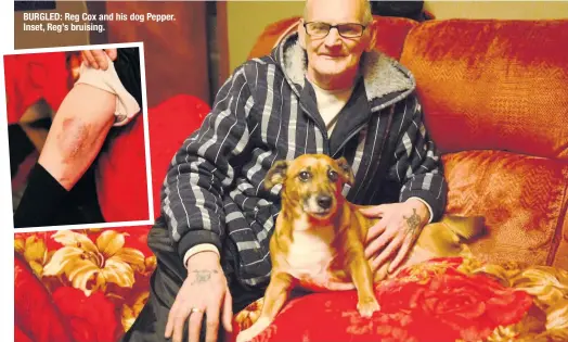  ??  ?? BURGLED: Reg Cox and his dog Pepper. Inset, Reg’s bruising.