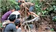  ?? AFP ?? in this video grab villagers try to capture a large python in Padang Pariaman in West Sumatra. —