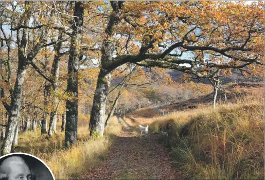  ?? Photograph­s: Iain Thornber Collection. ?? Remnants of oak trees planted on Ardtornish Estate by John, the 5th Duke of Argyll (inset); and right, the Kennedy family gravestone­s at Glencruitt­en, Oban.