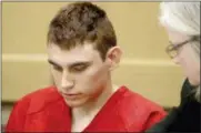  ?? MIKE STOCKER — SOUTH FLORIDA SUN-SENTINEL VIA AP, FILE ?? Nikolas Cruz, accused of murdering 17 people in the Florida high school shooting, appears in court for a status hearing in Fort Lauderdale, Fla. Cruz reportedly had a history of shooting small animals.