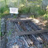  ??  ?? Above left: The start at Cotter Street. Above right: A shelter belt not far from Woodside. Below left: A section of rail and sleepers from the original line. Below right: At the half way mark - 2.5 kms from Greytown.