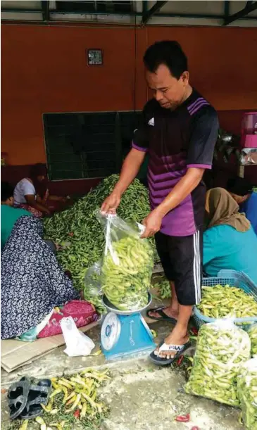  ?? FOTO | RAMLI IBRAHIM ?? BONYAMIN menimbang sendiri setiap beg plastik yang diisi dengan lada solok.