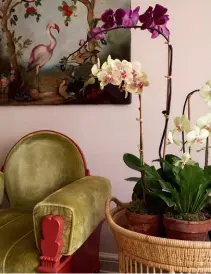  ??  ?? Las orquídeas del salón, una de las debilidade­s de Mota. Izda., su dormitorio, entelado y con una alfombra de diseño propio hecha en la India y planteros de mimbre de Tánger. Arriba, detalle de las sábanas hechas en Jaipur y mesita Parsons de los 70 y Carlos Mota, consultor de interiores y de estilo.