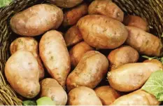  ?? Foto: Monique Wüstenhage­n, dpa ?? Süßkartoff­eln haben in den vergangene­n Jahren einen großen Sprung auf der Beliebthei­tsskala der Deutschen gemacht.
