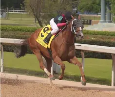  ?? The Sentinel-Record/Richard Rasmussen ?? ■ Jockey Joe Talamo coasts across the wire aboard Whitmore to win the Count Fleet Sprint Handicap on April 18, 2020, at Oaklawn.