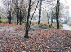  ?? FOTO: SABINE RÖSCH ?? Im linken vorderen Bereich entsteht auf dem Binger Friedhof ein Baumhain-Urnengrabf­eld.