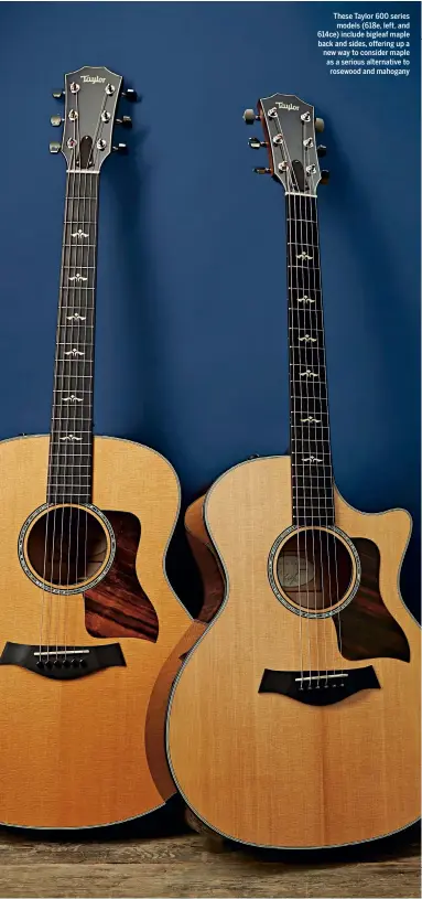  ??  ?? These Taylor 600 series models (618e, left, and 614ce) include bigleaf maple back and sides, offering up a new way to consider maple as a serious alternativ­e to rosewood and mahogany