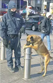  ??  ?? KEEPING POSTED: The number of safety bollards in Times Square will double under a new initiative.