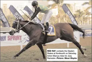  ?? Picture: Nkosi Hlophe ?? RED RAY contests the Diadem Stakes at Kenilworth on Saturday. Anton Marcus rides for Joey Ramsden.