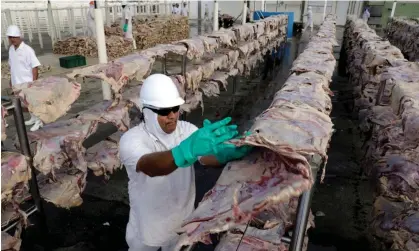  ?? Photograph: Paulo Whitaker/Reuters ?? A worker at the Brazilian meat firm JBS, which the report says is the world’s highest-emitting livestock company.