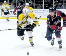  ?? MARK MALONE/POSTMEDIA NETWORK FILES ?? Sarnia Sting's Brady Hinz (13) and Windsor Spitfires' Jake Smith (27) chase the puck in the first period at Progressiv­e Auto Sales Arena in Sarnia, Ont., on Nov. 17. The Peterborou­gh Petes have acquired 17-year-old Hinz and two draft picks in a trade for 19-year-old Jonathan Ang. Ang was one of the top scorers on the Petes but is likely in his last OHL season.