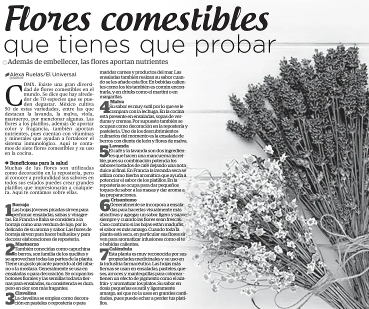 Conoce estas flores comestibles y aprende sus sabrosas virtudes - El Sol de  Puebla