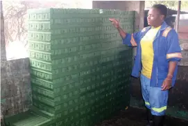  ??  ?? LG Foods employee Loveness Moyo shows the unpacked green bar soap at the company premises at Thorngrove in Bulawayo on Friday. (Picture by Nkosizile Ndlovu)