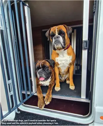  ?? ?? If you have large dogs, you’ll need to consider the space they need and the vehicle’s payload when choosing a ’van