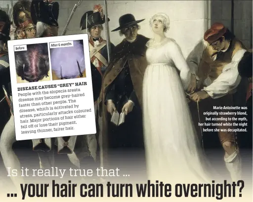  ??  ?? Marie-Antoinette was originally strawberry blond, but according to the myth, her hair turned white the night before she was decapitate­d.