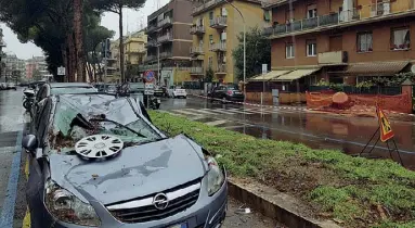  ??  ?? Sos crolli Nelle foto i danni provocati da un grosso pino che si è abbattuto su sei auto parcheggia­te in viale Tirreno all’altezza del civico 106: le vetture sono state travolte ma nessuno è rimasto ferito. Anche al Salario, a largo Forano, un albero è...