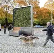  ?? Foto: Green City Solution ?? So sehen die Mooswände namens „City Tree“aus.