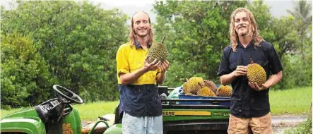  ?? — Photos: The ripe Time ?? Limbert (left) and Hickson have started a farm in Far North Queensland which grows 50 species of tropical fruits including durian, cempedak, jackfruit and mangosteen..