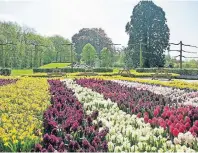  ??  ?? Der Frühling hat in den Arcener Schlossgär­ten Einzug gehalten.