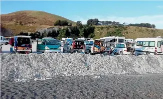  ?? ?? Freedom campers at South Bay, near Kaikōura, drew complaints for leaving rubbish, using the beach as a toilet and disturbing nesting birds.
Left, former tourism professor James Higham wants a dedicated Tourism Commission.
Below, Southern Alps Guiding owner Charlie Hobbs wants to see an Aoraki Mt Cook entry charge for internatio­nal day visitors, to ensure they contribute to the costs of maintainin­g the tracks and facilities they use.