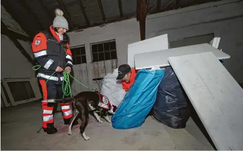  ?? Foto: Michael Hochgemuth ?? Training, kein Ernstfall: Ein Rettungshu­nd der Rettungshu­ndestaffel Augsburg sucht beim Training in einem leer stehenden Gebäude in Neusäß nach Vermissten. Unter An leitung von Hundeführe­rin Caroline Harzer findet der Hund die „Vermisste“Susanne Kragler.