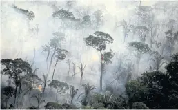  ?? REUTERS ?? Smoke billows from a fire in an area of the Amazon rainforest near Porto Velho, Rondonia State, Brazil on Sept 10, 2019.