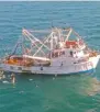  ??  ?? Previenen pesca.La Conapesca vigilará 928 barcos en Baja California, para evitar la pesca de la vaquita marina.