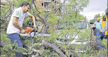  ?? NITIN KANOTRA/HT ?? Disaster relief force personnel cut down parts a tree that was uprooted by strong winds in Jammu on Friday.