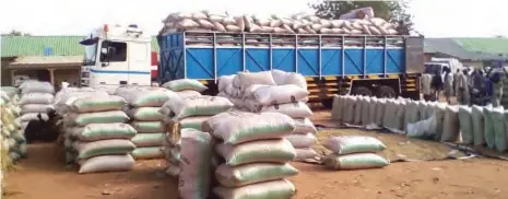  ??  ?? Another trailer load of rice ready for off loading at the Kamba border market
