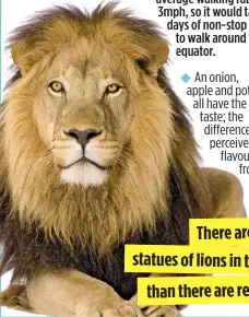  ??  ?? There are more statues of lions in the world than there are real lions