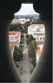  ??  ?? Paleontolo­gist Mark Goodwin examines coyote bones from the La Brea tar pits, housed in the Campanile. A view of Campanile Way from Sather Tower includes the heart of the UC Berkeley campus.